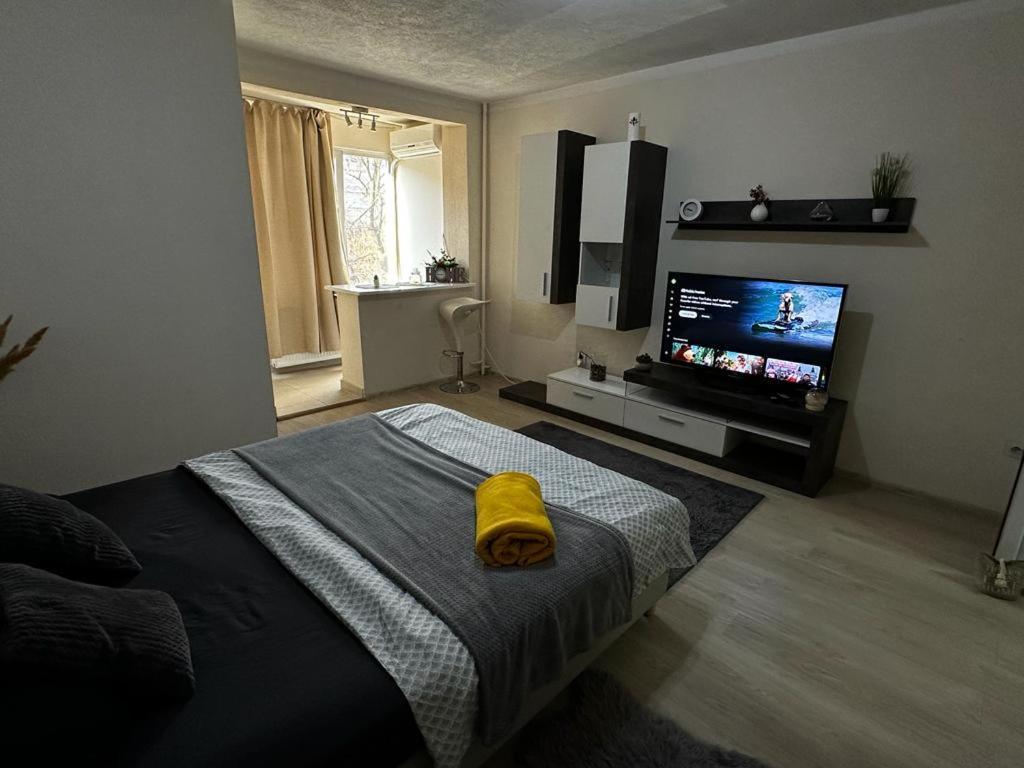 Reeas Apartament Timisoara Ngoại thất bức ảnh