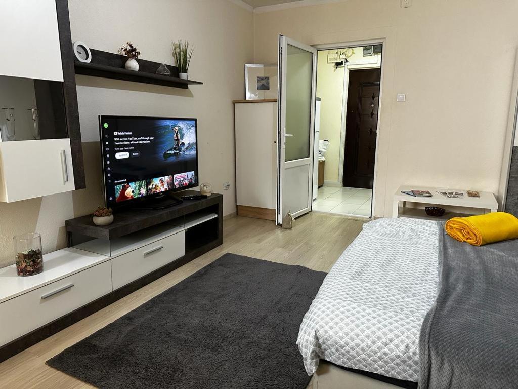 Reeas Apartament Timisoara Ngoại thất bức ảnh