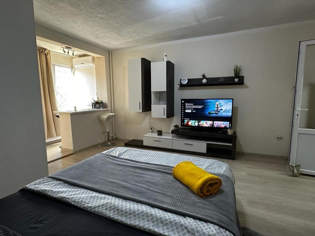 Reeas Apartament Timisoara Ngoại thất bức ảnh