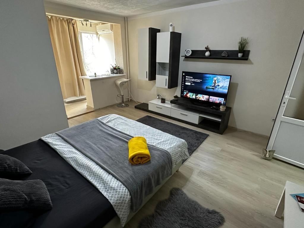 Reeas Apartament Timisoara Ngoại thất bức ảnh
